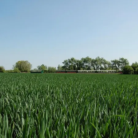 Camping La Ferme De Mayocq